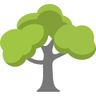 Falls Church Tree Removal Service
