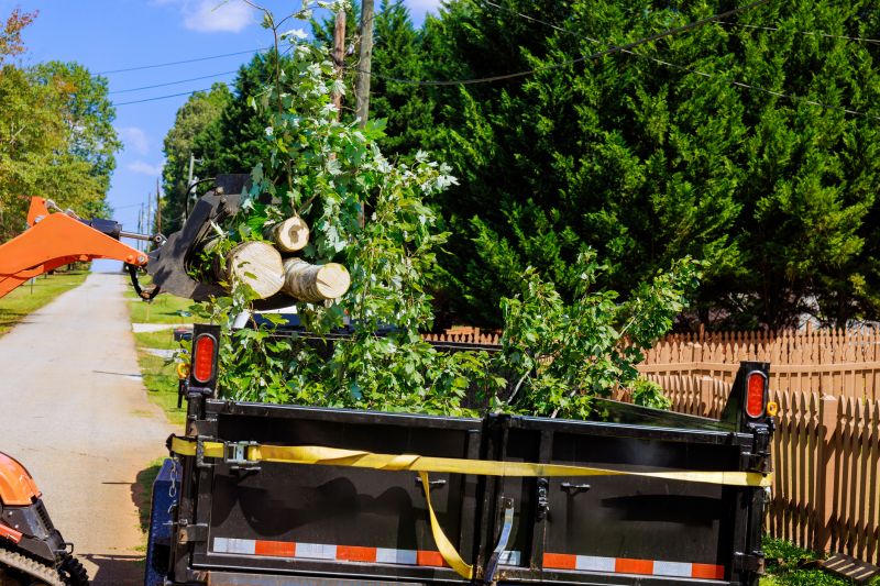 Products For Tree Removals in use